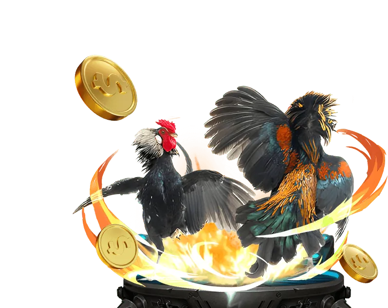 Nguyên tắc cá cược có trách nhiệm tại U888